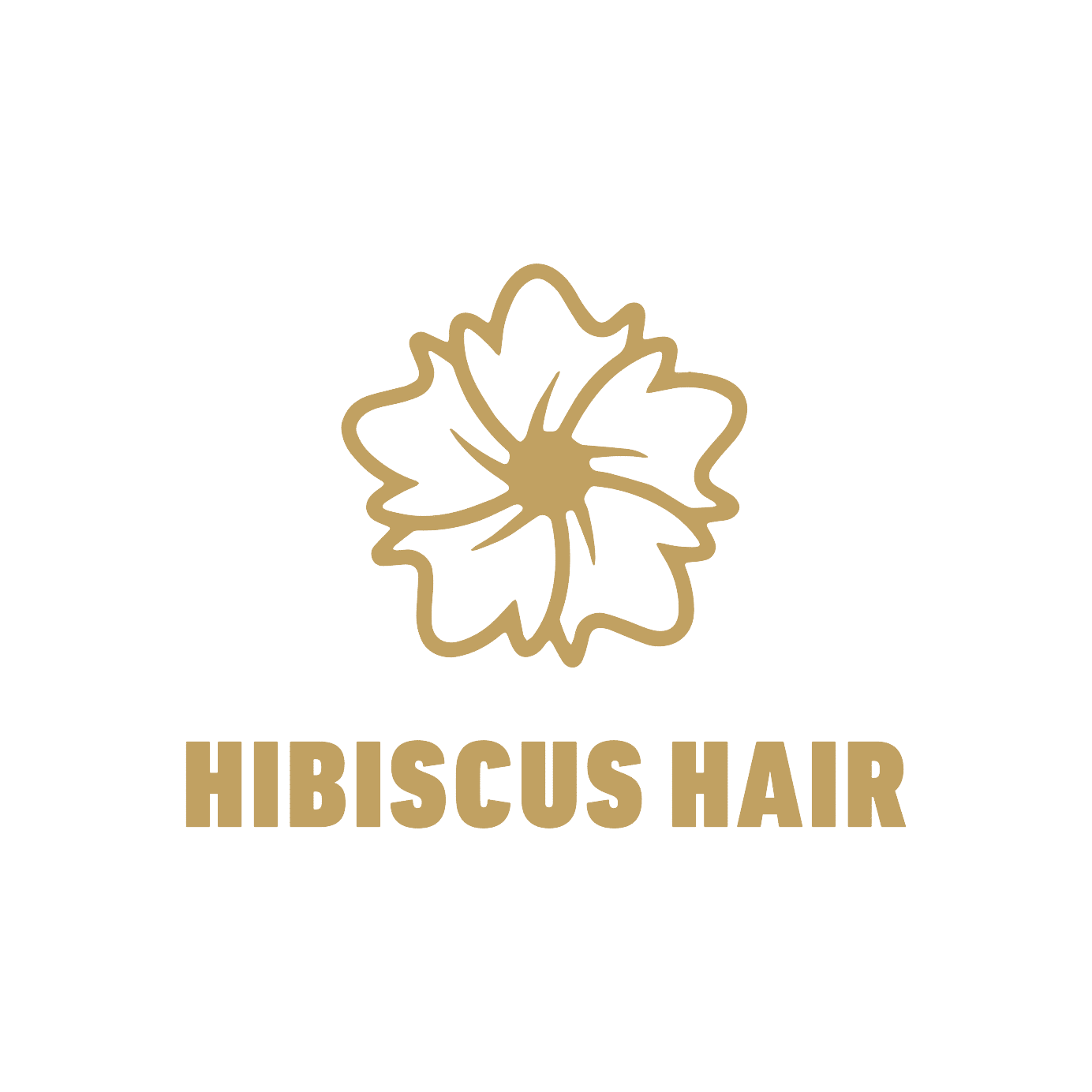 Hibiscus Hair logo
