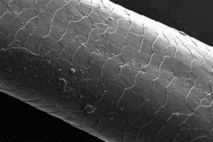 What is Remy Hair?图片104