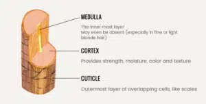 what is full cuticle hair