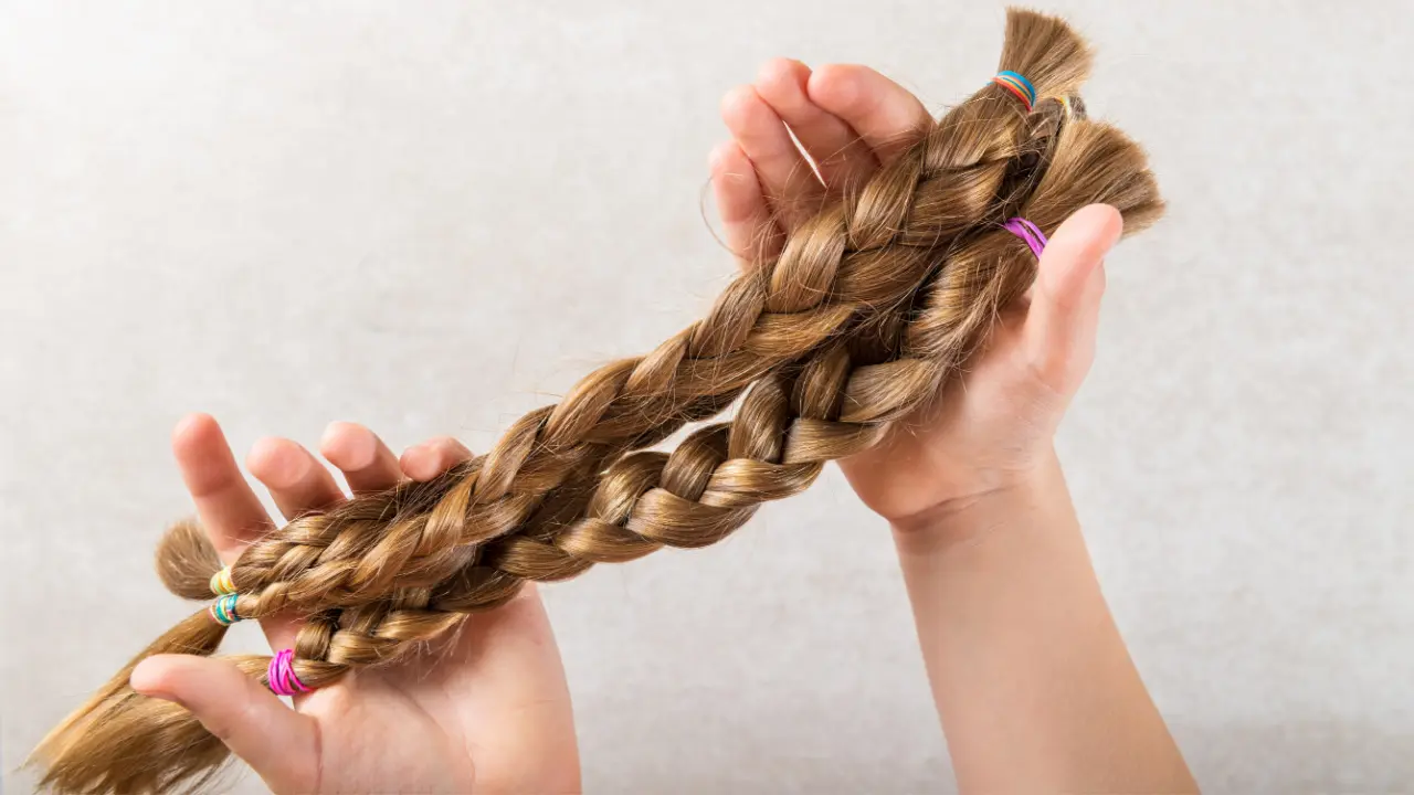 Single Donor Full Cuticle Hair A healthy, shiny ponytail of virgin hair before processing